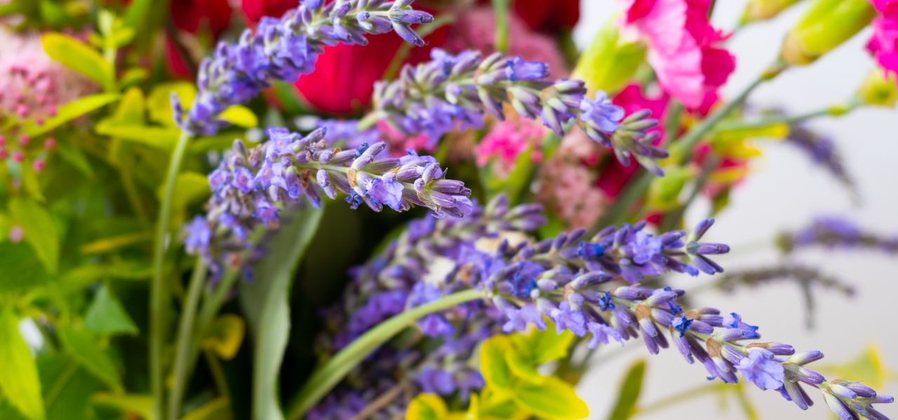 Perfumy do zadań specjalnych, czyli nadchodzi wyjątkowa okazja