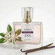488. Perfumy Ambra Classic