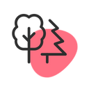 Drzewny